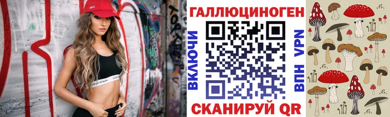 Псилоцибиновые грибы GOLDEN TEACHER  Купить  Семёнов 