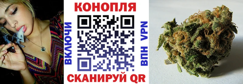 Купить где  Семёнов  Конопля LSD WEED 
